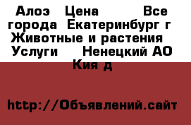 Алоэ › Цена ­ 150 - Все города, Екатеринбург г. Животные и растения » Услуги   . Ненецкий АО,Кия д.